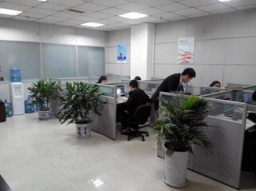 青島梓塾投資咨詢 專業(yè)經(jīng)濟(jì)信息咨詢服務(wù)的價(jià)值與優(yōu)勢